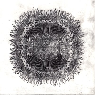 Pflanzenzellen, 2019 von Charlotte Orr