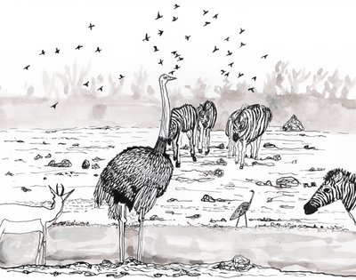 Safari 2, 2018 von Charlotte Orr
