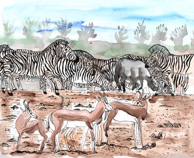 Safari 3 von Charlotte Orr