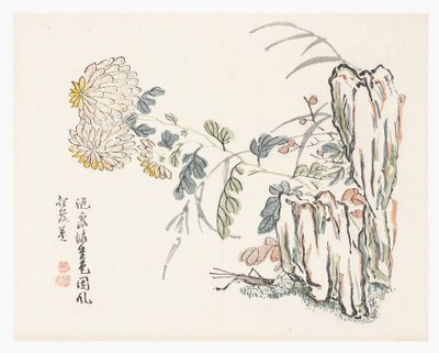Chrysantheme, Mustard Seed Garden Manual von Cheng An (after)