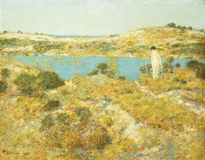 Dünenpool von Childe Frederick Hassam