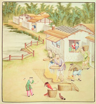 Chinesische Bauern beim Reissieben von Chinese School