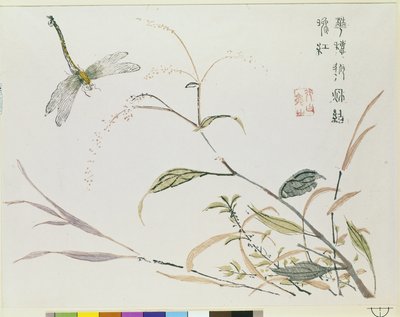 Senfkorngarten von Chinese School