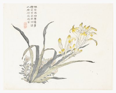 Senfkorngarten von Chinese School