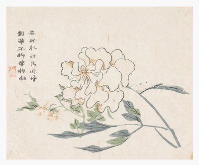 Senfkorngarten von Chinese School