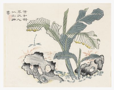 Garten der Senfsamen von Chinese School