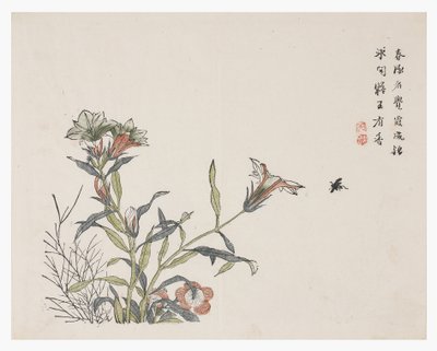Garten der Senfsamen von Chinese School