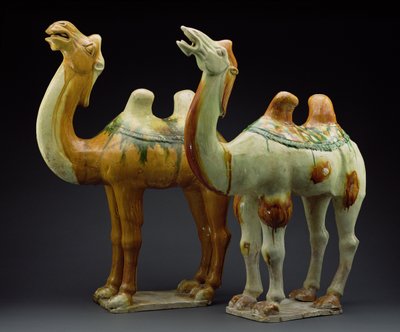 Zwei Kamele, Tang-Dynastie (618-907) von Chinese School