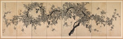 Weinrebe von Choe Seok hwan