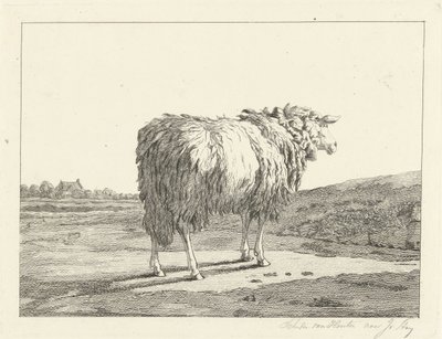 Schaf in einer Landschaft von Christiaan Godfried Schutze van Houten