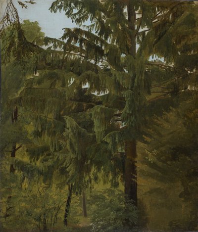 Tanne im Laubwald von Christian Friedrich Gille