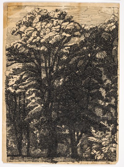 Bäume von Christian Kongstad Petersen