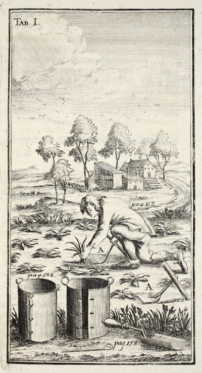 Gärtner bei der Ernte, veröffentlicht in Erfurt in Thüringen von Christian Reicharts