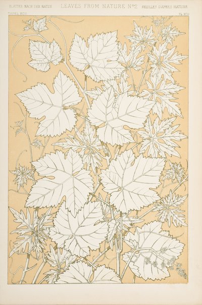 Blätter aus der Natur, 1868 von Christopher Dresser