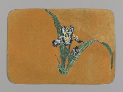 Iris von Christopher Grant La Farge