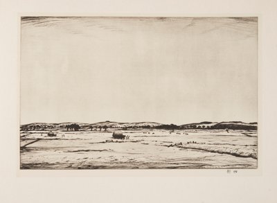 Sussex Downs von Christopher Richard Wynne Nevinson