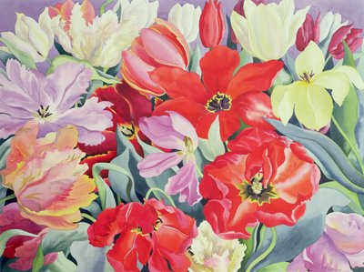 Massierte Tulpen, 2003 von Christopher Ryland