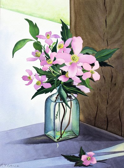 Stillleben Rosa Clematis von Christopher Ryland