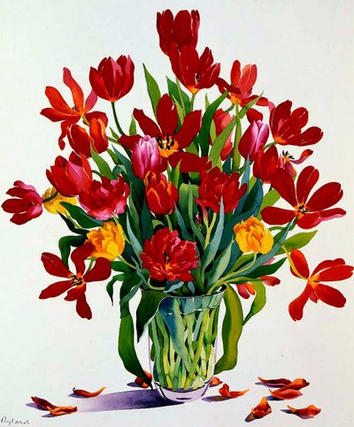 Tulpen von Christopher Ryland