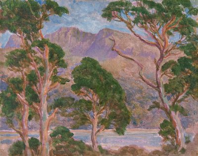 Cader Idris, 1893-1934 von Christopher Williams