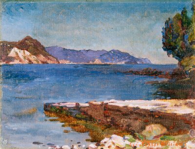 Die ligurische Küste von Rapallo von Christopher Williams