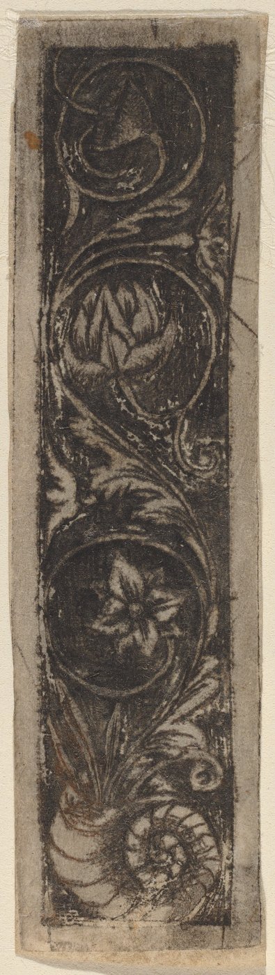 Längliches Ornamentpanel von Circle of Francesco Francia