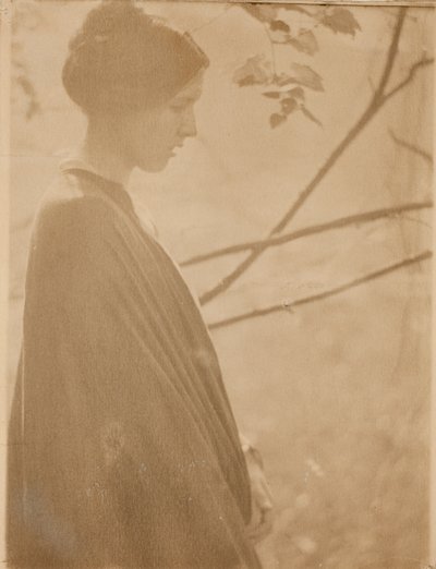 Sonnenlicht von Clarence H. White