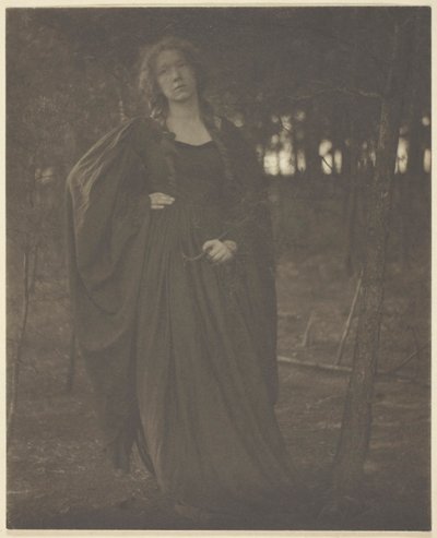 Ohne Titel [Frau im Wald], 1901-05 von Clarence H White
