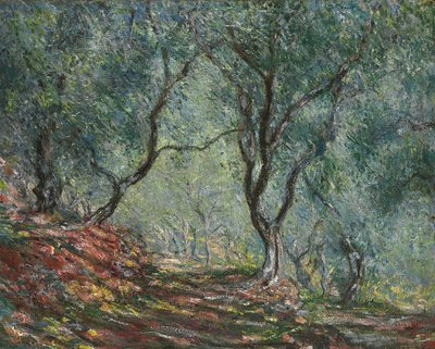 Olivenbäume im Garten Moreno, 1884 von Claude Monet