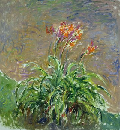 Hemerocallis von Claude Monet