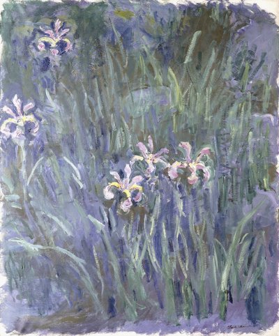 Iris, ca. 1914-1917 von Claude Monet