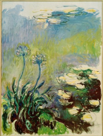 Die Agapanthus von Claude Monet