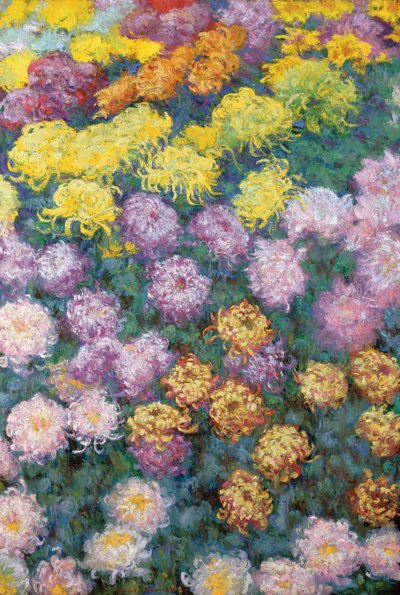 Chrysanthemen-Massiv von Claude Monet