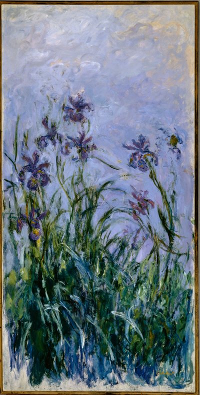 Lila Schwertlilien, 1914-17 von Claude Monet