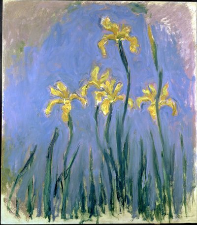 Die gelben Schwertlilien, ca. 1918-25 von Claude Monet