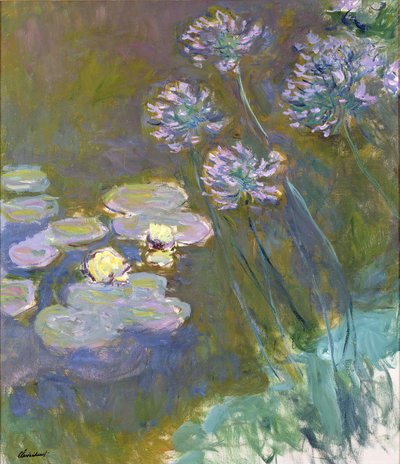 Seerosen und Agapanthus von Claude Monet