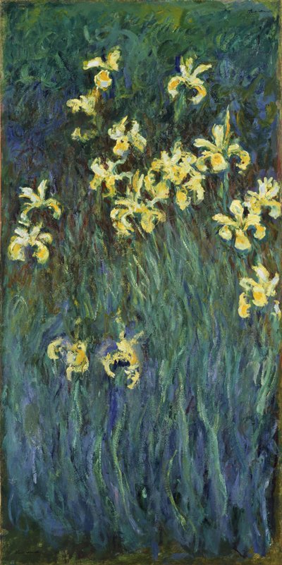 Gelbe Schwertlilien, 1914-1917 von Claude Monet