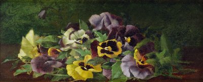 Stiefmütterchen von Claude Raguet Hirst