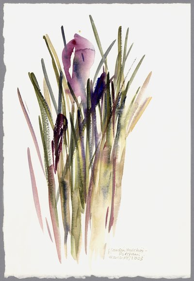 Krokus, 2003 von Claudia Hutchins Puechavy