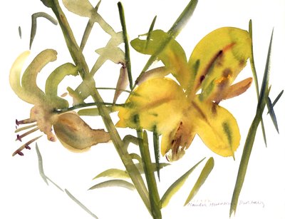Lilien, 1987 von Claudia Hutchins Puechavy