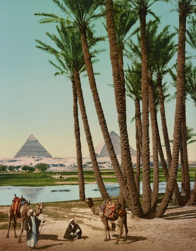 Palmen, Beduinen und Pyramiden, Kairo, Ägypten von Company Photoglob