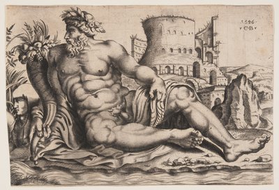 Der Fluss Nil von Cornelis Bos