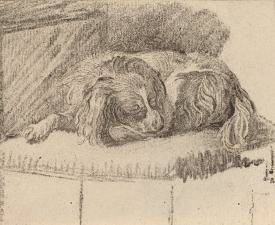 Liegender Hund, 1777 von Cornelis Brouwer