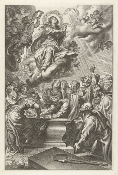 Himmelfahrt Mariä von Cornelis Galle (II)