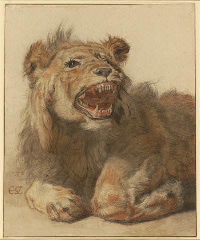 Ein fauchender Löwe von Cornelis Saftleven