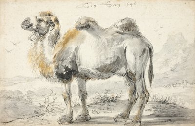 Ein Kamel von Cornelis Saftleven