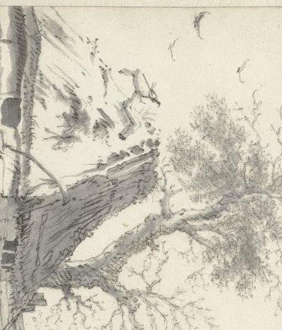 Bauernhütte am Wasser von Cornelis Saftleven
