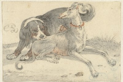 Windhund und ein Vorstehhund von Cornelis Saftleven