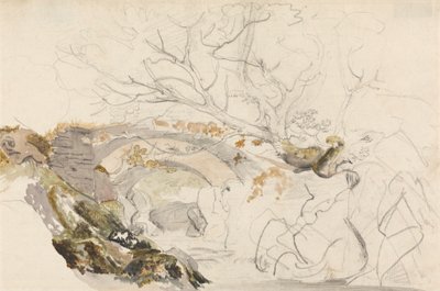 Brücke und Bäume von Cornelius Varley