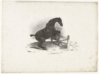 Pferd springt über ein Hindernis von Courtin